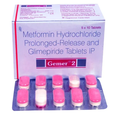 GEMER 2 TABLET - Image 2